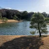フラワー装飾技能士3級独学